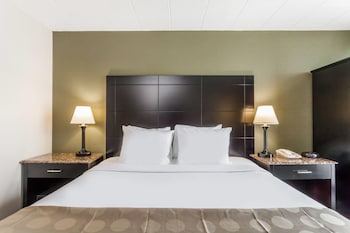 Standard Room, 1 King Bed, Smoking