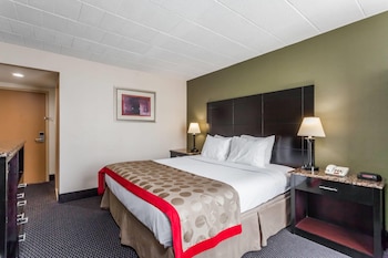 Standard Room, 1 King Bed, Non Smoking