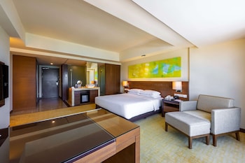 Room, 1 King Bed