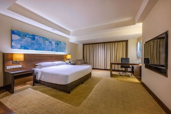 Room, 1 King Bed