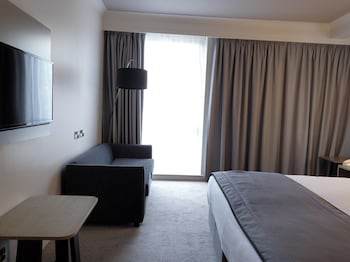 Standard Room, 1 King Bed with Sofa bed