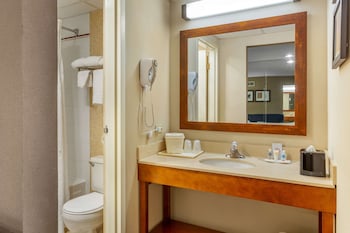 Suite, 1 King Bed with Sofa bed, Accessible, Non Smoking