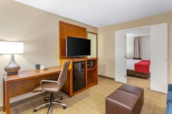 Business Room, 1 King Bed with Sofa bed