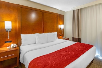 Suite, 1 King Bed with Sofa bed, Accessible, Non Smoking
