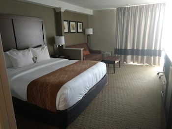 Standard Room, 1 King Bed, Non Smoking