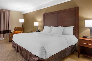 Room, 1 King Bed, Accessible, Non Smoking