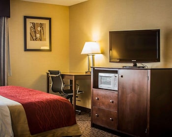 Suite, 1 King Bed with Sofa bed, Non Smoking, Jetted Tub (1 Person Sofa bed)
