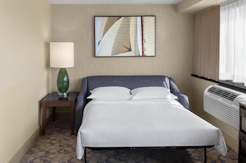 Room, 1 Queen Bed (Mobility/Hearing Access, Roll-In Shwr)