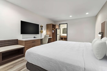 Room, 1 King Bed