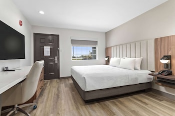 Room, 1 King Bed