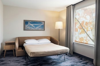 Suite, 1 King Bed with Sofa bed