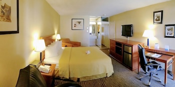 Executive Room, 1 King Bed, Non Smoking, Courtyard Area