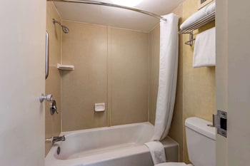 Executive Room, 1 King Bed, Non Smoking, Courtyard Area