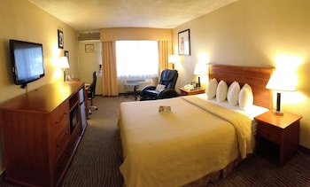 Executive Room, 1 King Bed, Non Smoking, Courtyard Area