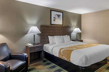 Room, 1 King Bed, Accessible, Non Smoking (Roll-ln Shower)
