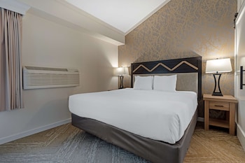 Suite, Multiple Beds, Non Smoking, Refrigerator & Microwave (Living Room;with Sofabed)