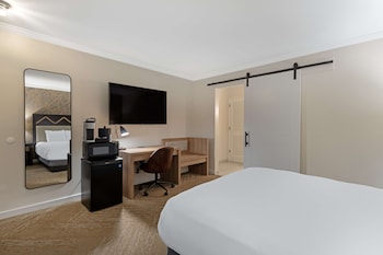 Standard Room, 1 Queen Bed, Accessible, Refrigerator & Microwave