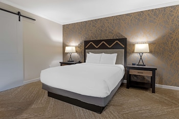 Standard Room, 1 Queen Bed, Accessible, Refrigerator & Microwave