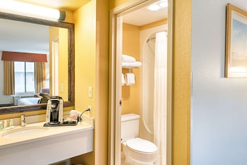 Room, 1 King Bed