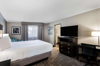 Room, 1 King Bed