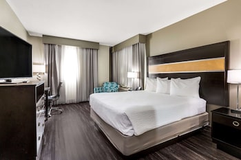 Room, 1 King Bed, Accessible, Non Smoking (Mobility,Roll-In Shower)