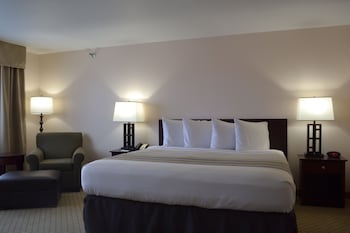 Room, 1 King Bed, Non Smoking