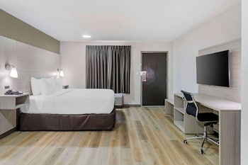 Standard Room, 1 King Bed, Non Smoking