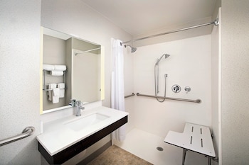 Standard Room, 1 King Bed, Accessible (Roll-In Shower)
