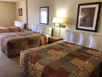 Studio Suite, Multiple Beds, Non Smoking