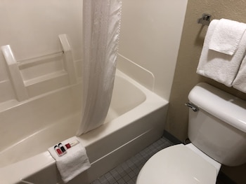 Studio Suite, Multiple Beds, Non Smoking