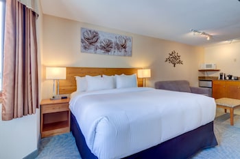 Executive Suite, 1 Bedroom