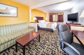 Suite, 1 King Bed with Sofa bed, Non Smoking