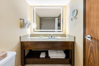 Deluxe Suite, 1 King Bed, Non Smoking