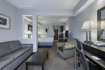 Suite, 1 King Bed with Sofa bed (Living Area)