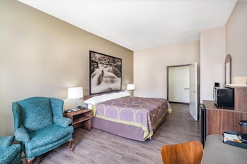 Standard Room, 1 King Bed, Accessible