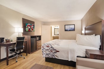 Deluxe Room, 1 King Bed, Accessible, Non Smoking (Roll-In Shower)