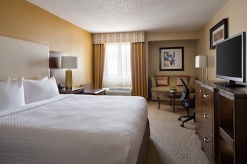 Standard Room, 1 King Bed, Non Smoking (Mobility/Hearing Access, Roll-in Shwr)