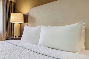 Standard Room, 1 King Bed, Non Smoking (Mobility/Hearing Access, Roll-in Shwr)