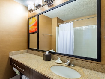 Standard Room, 1 King Bed, Non Smoking (Mobility/Hearing Access, Roll-in Shwr)