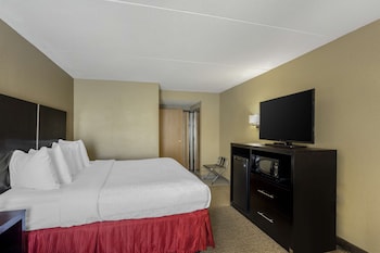 Standard Room, 1 King Bed, Accessible, Non Smoking