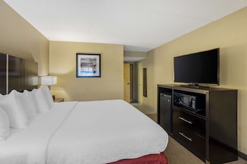 Standard Room, 1 King Bed, Accessible, Non Smoking