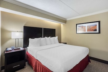 Suite, 1 King Bed, Non Smoking, Refrigerator & Microwave (Living Room;with Sofabed)