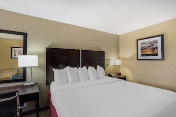 Standard Room, 1 King Bed, Accessible, Non Smoking