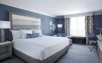 Room, 1 King Bed