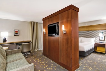 Suite, 1 King Bed with Sofa bed