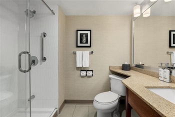 Suite, 1 King Bed with Sofa bed