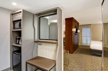 Suite, 1 King Bed with Sofa bed