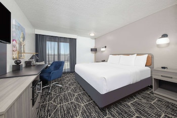 Room, 1 King Bed