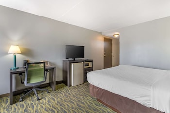 Standard Room, 1 King Bed, Non Smoking