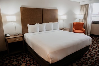 Room, 1 King Bed, Non Smoking